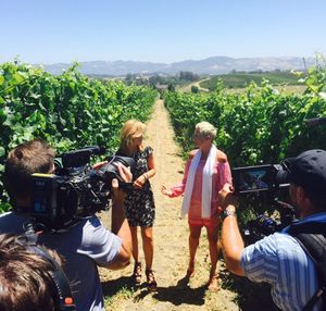 Image post by @DanielleTrotta on Twitter