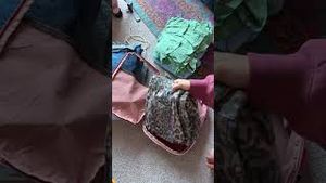 Video post by @reaganbaylee on YouTube