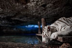 Image post by @alandodominguez on Instagram