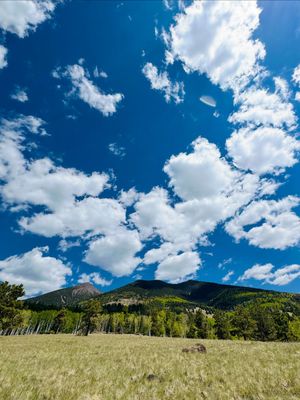 Image post by @nauflagstaff on Instagram