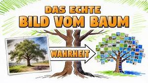 Video post by @cristanboerg on YouTube