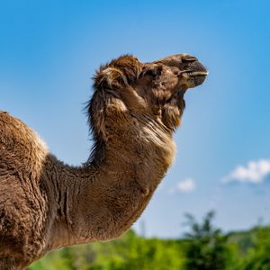 Image post by @discovery on Instagram