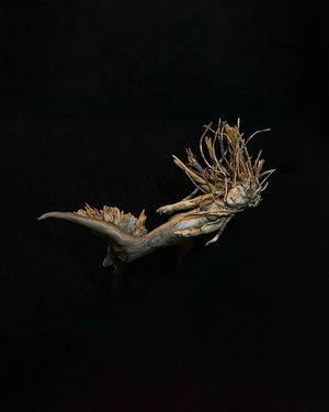 Image post by @jasonmillercreations on Instagram