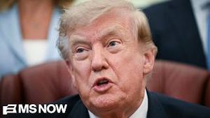 Video post by @msnbc on YouTube