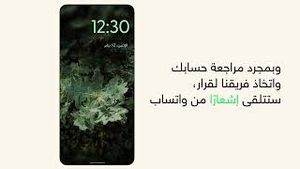 Video post by @whatsapp on YouTube