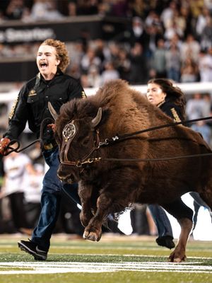 Image post by @cubuffs on Instagram