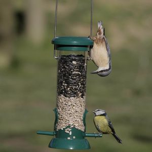 Image post by @rspb on Instagram