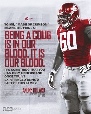 Image post by @wsucougarfb on Instagram