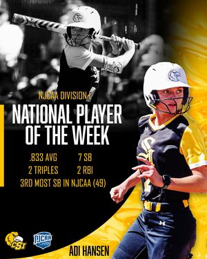 Image post by @csi_softball on Instagram