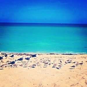 Image post by @ralph_trionfo on Instagram