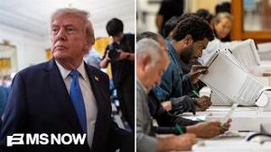 Video post by @msnbc on YouTube