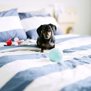 Image post by @bycorrigan on Instagram