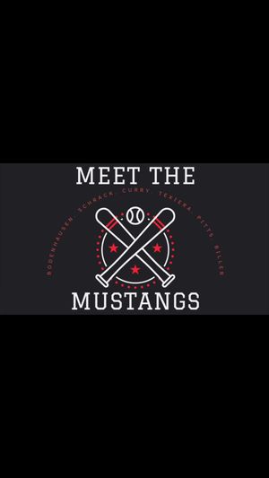 Video post by @stjoemustangs on Facebook