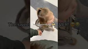 Video post by @happilyevansafterr on YouTube