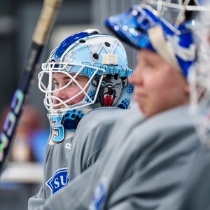 Image post by @leijonatfi on Instagram