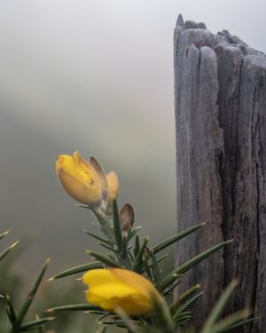 Image post by @cristan.nature.photography on Instagram