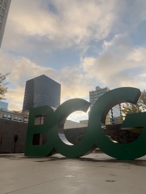 Image post by @bcg on Instagram