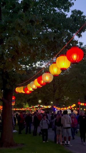 Video post by @oberlin.college on TikTok