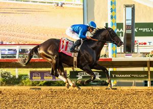 Image post by @godolphin on Instagram