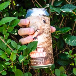 Image post by @thinmanbrewery on Instagram