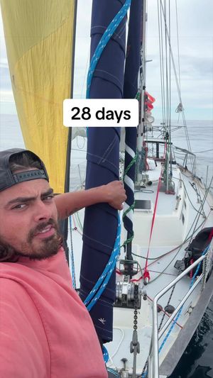 Video post by @sailing_with_phoenix on TikTok