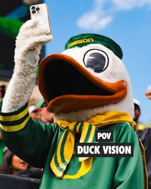 Image post by @goducks on Instagram