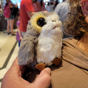 Image post by @thedisneyblog on Instagram