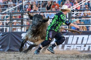 Image post by @ultimatebullfighters on Instagram