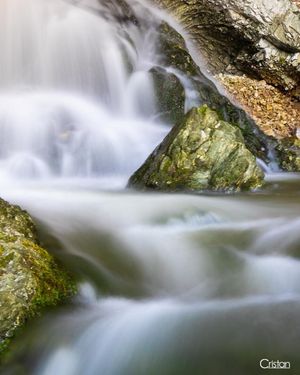 Image post by @cristan.nature.photography on Instagram