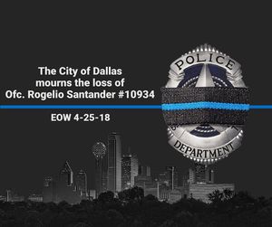Image post by @CityOfDallas on Twitter