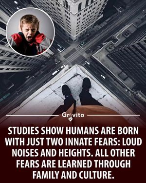 Image post by @gravitonomy on Instagram