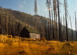 Image post by @W.39thPhotos on Facebook