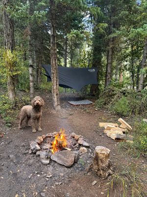 Image post by @enohammocks on Instagram