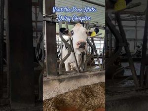 Video post by @Penn State University on YouTube