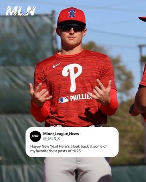 Image post by @minor_league_news on Instagram
