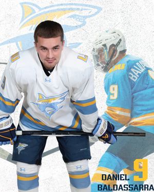 Image post by @liumhockey on Instagram