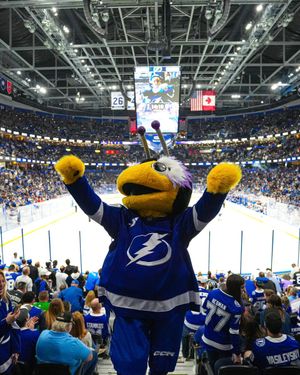 Image post by @ThunderBugTBL on Twitter