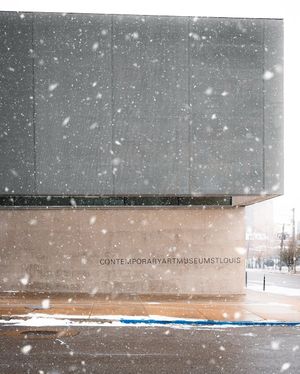 Image post by @stlouisgram on Instagram