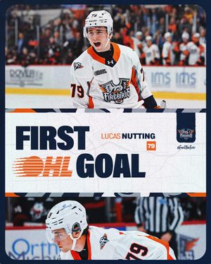 Image post by @flintfirebirds on Instagram