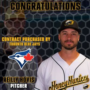 Image post by @gohoneyhunters on Twitter