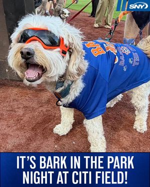 Image post by @snytv on Instagram