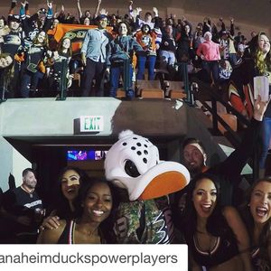 Image post by @anaheimducks on Instagram