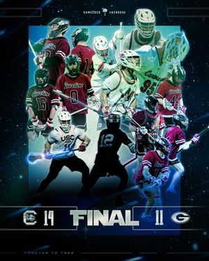 Image post by @gamecocklax on Instagram