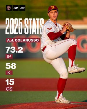 Image post by @BCBirdBall on Twitter