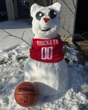 Image post by @rocketsmascotclutch on Instagram