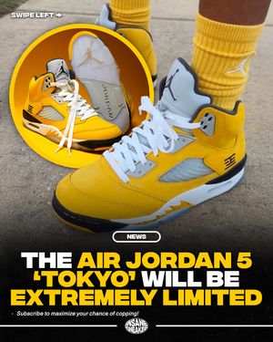 Image post by @insanesneaker on Instagram