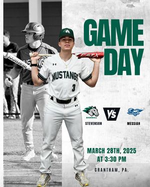 Image post by @stevensonbsb on Instagram