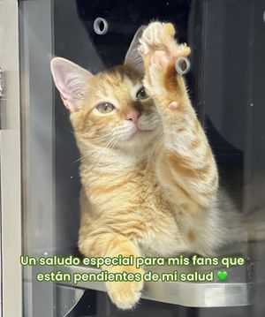 Image post by @tierradenando on Instagram