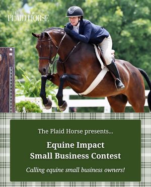Image post by @theplaidhorsemag on Instagram