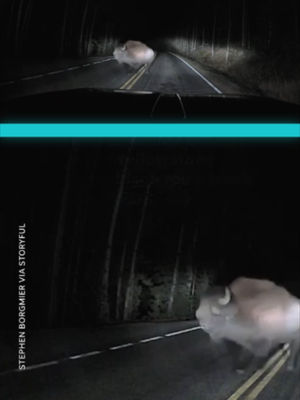Video post by @usatoday on TikTok